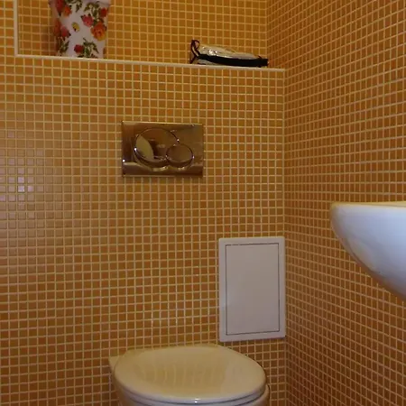 V Lesicku 8 Apartment Prague